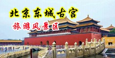 大黑逼av中国北京-东城古宫旅游风景区